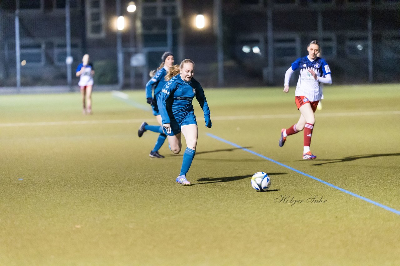 Bild 168 - F SC Alstertal-Langenhorn - Hamburger SV 3 : Ergebnis: 2:2